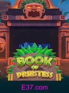 BookOfPriestess